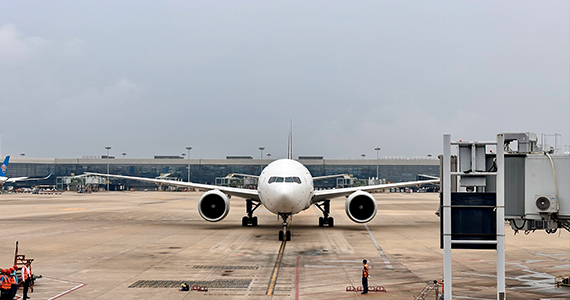 斗罗之最强抽奖系统