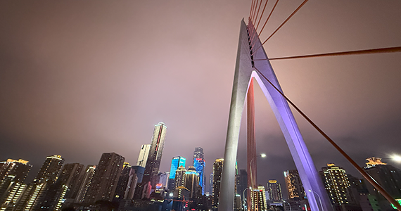 site域名查询：掌握网站信息的第一步